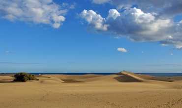 Zonas dunares - O GROVE